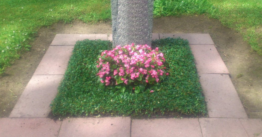 Stufe II - Sommerbepflanzung (Begonien)