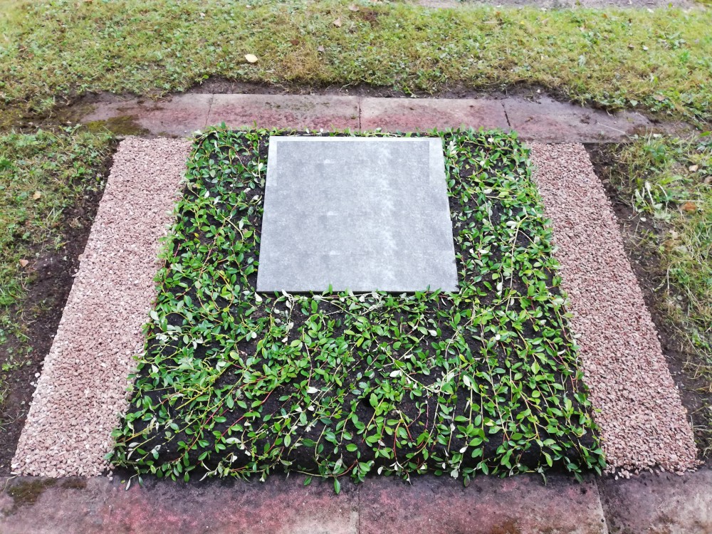 Neuanlage mit Cotoneaster - Urnengrab