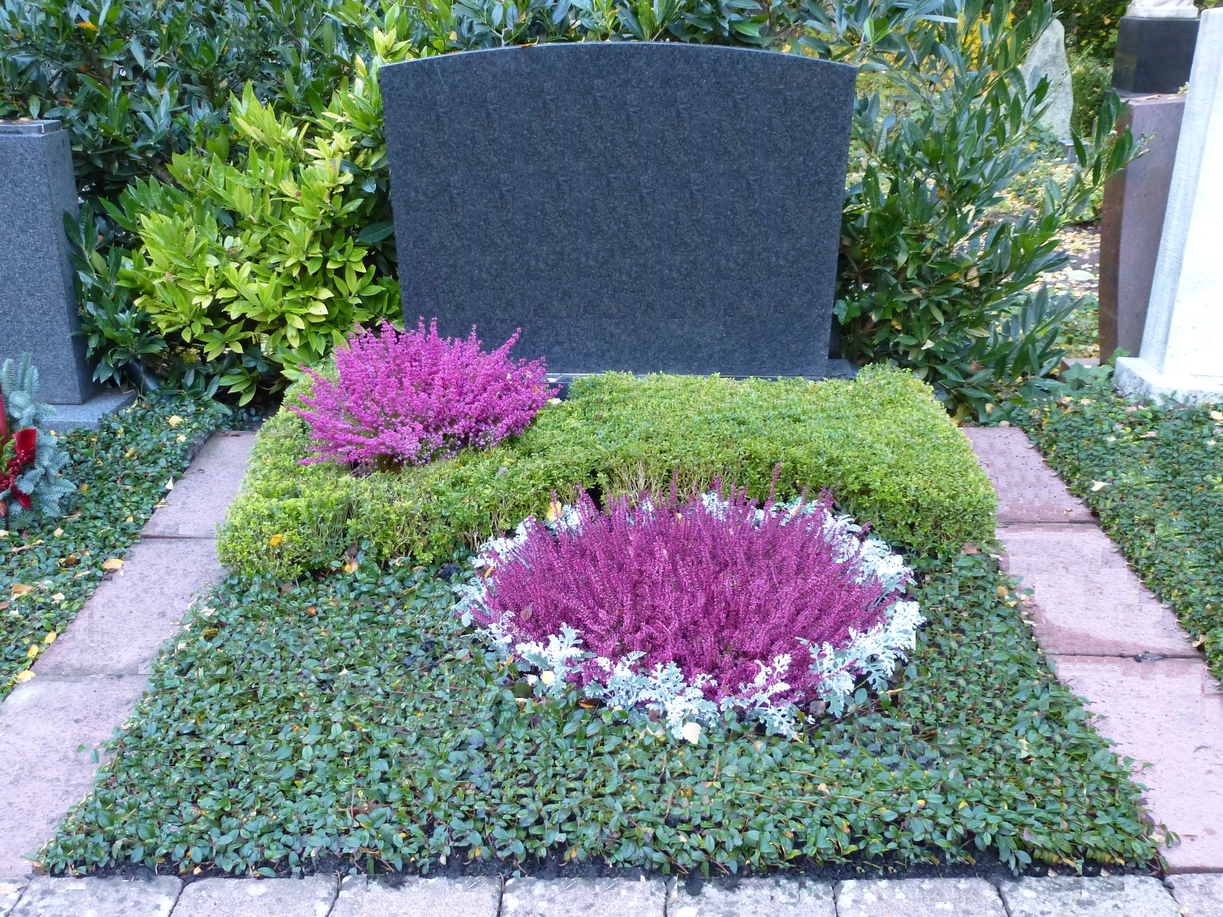 Stufe IV - Herbstbepflanzung (Calluna und Maritima)