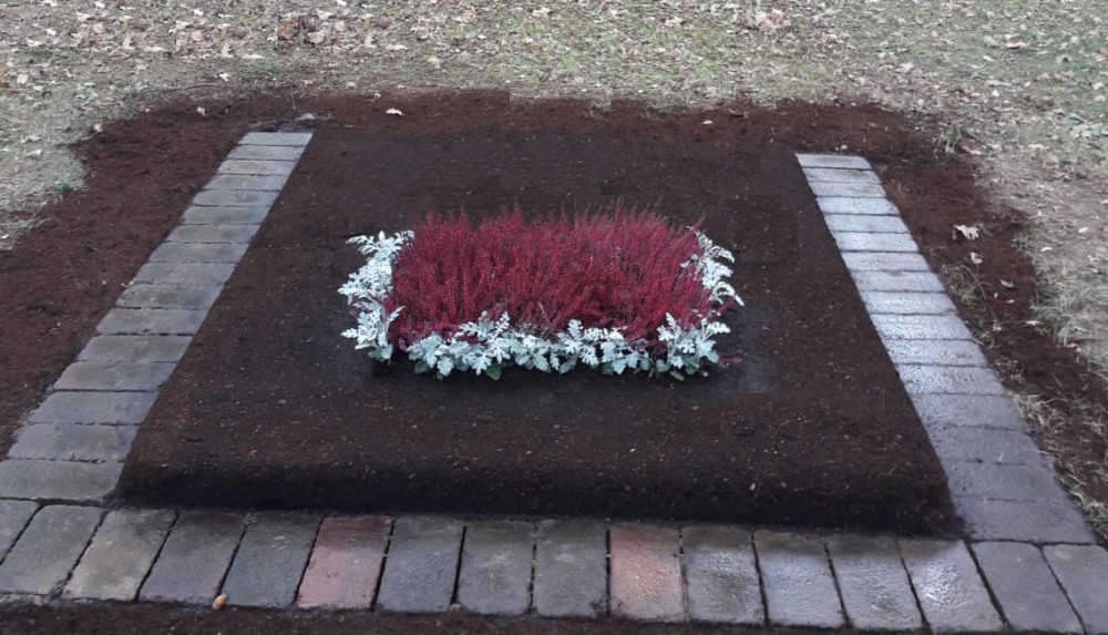 Voranlage mit Calluna und Maritima (Herbstbepflanzung)