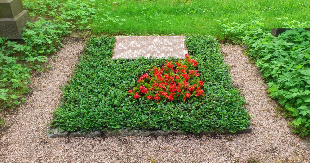 Stufe II - Sommerbepflanzung (Begonien)