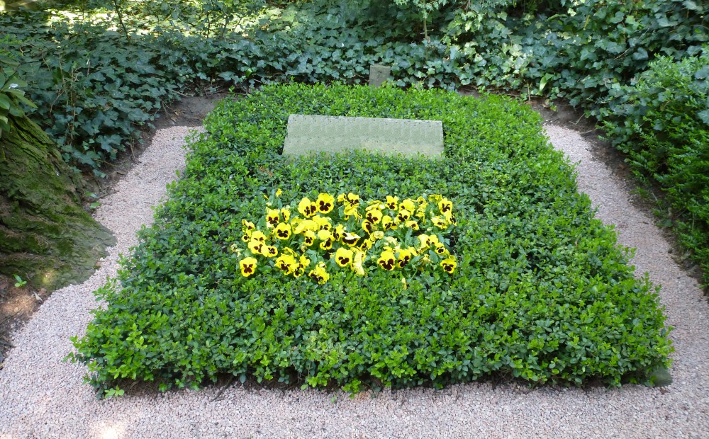 Stufe IV - Frühjahrsbepflanzung (Stiefmütterchen)