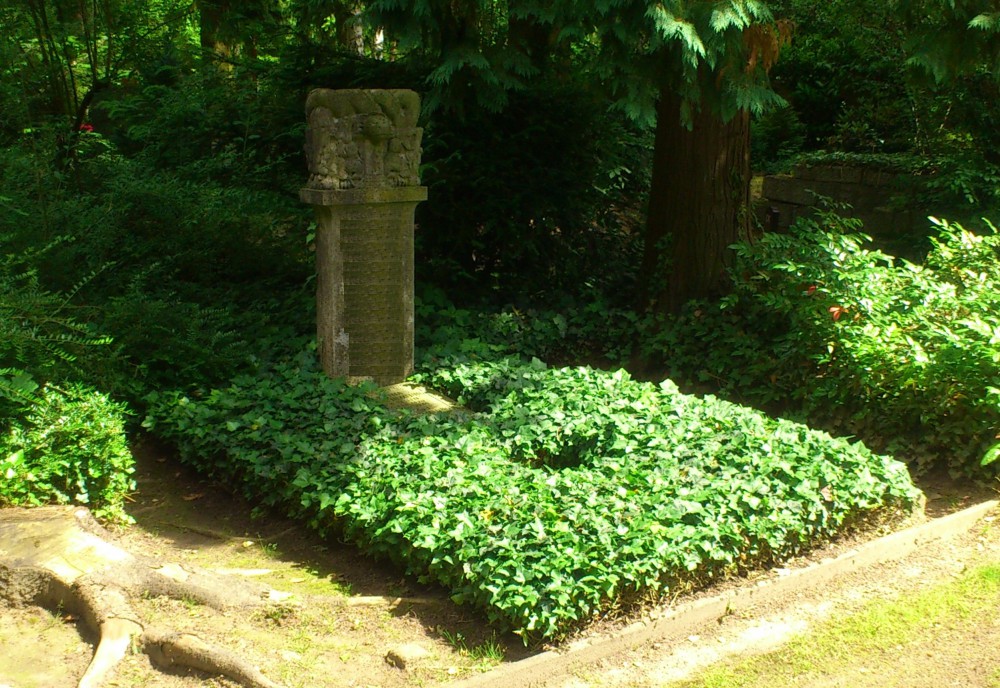 Stufe I - Bodendecker Efeu